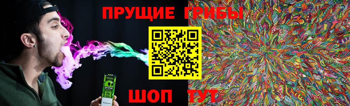 Псилоцибиновые грибы Cubensis  Галлюциногенные грибы мицелий  Жуковский  закладки  Вход с VPN 